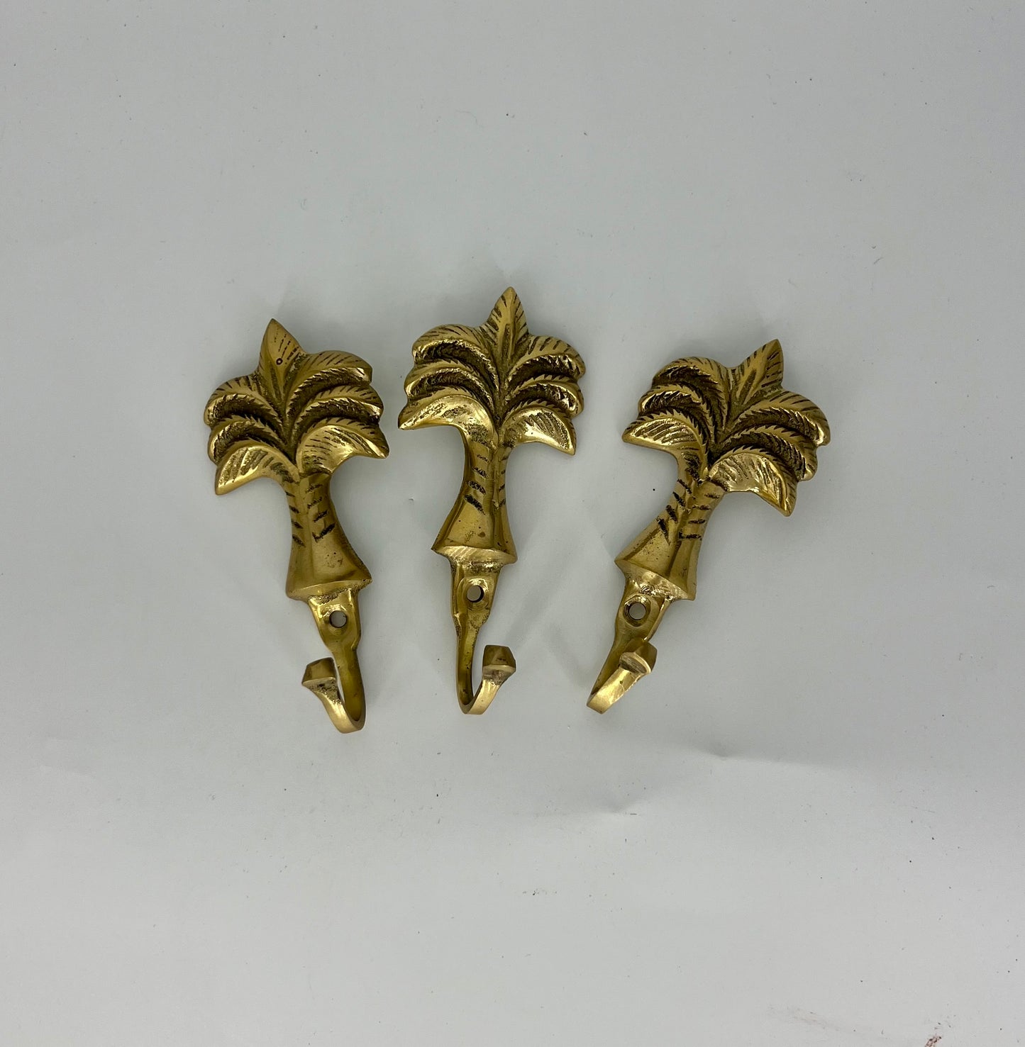 Sundy Mrnin Palm Hooks
