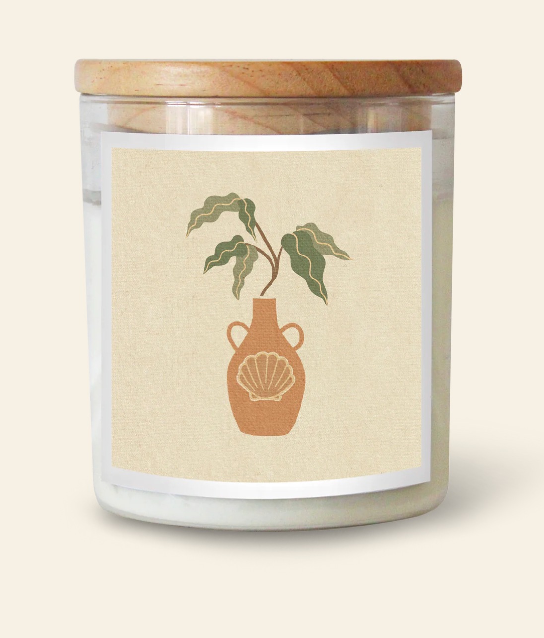 The Commonfolk House Plants - Shell (Morocco)