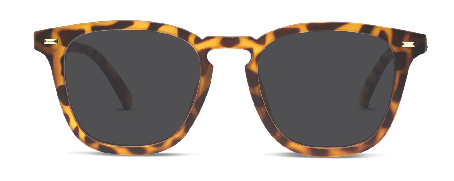 Liive Manhattan Sunglasses