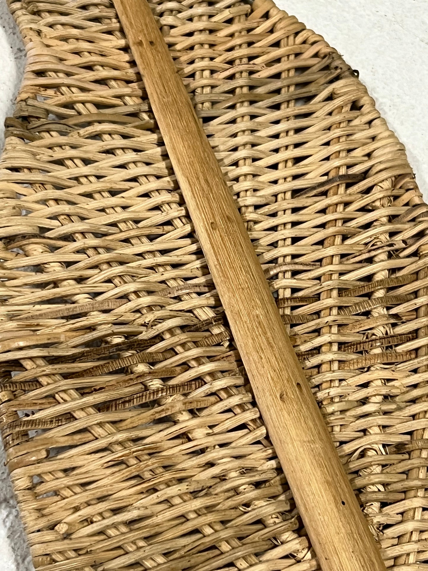Sundy Mrnin Cane Palm Leaf
