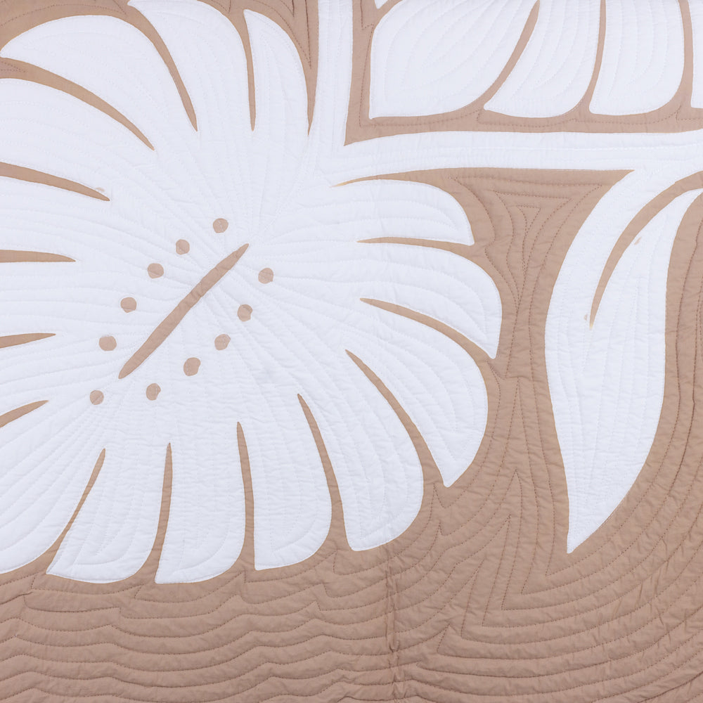 womens, mens, surf, snow, skate, accessories - The Boardstore Lab