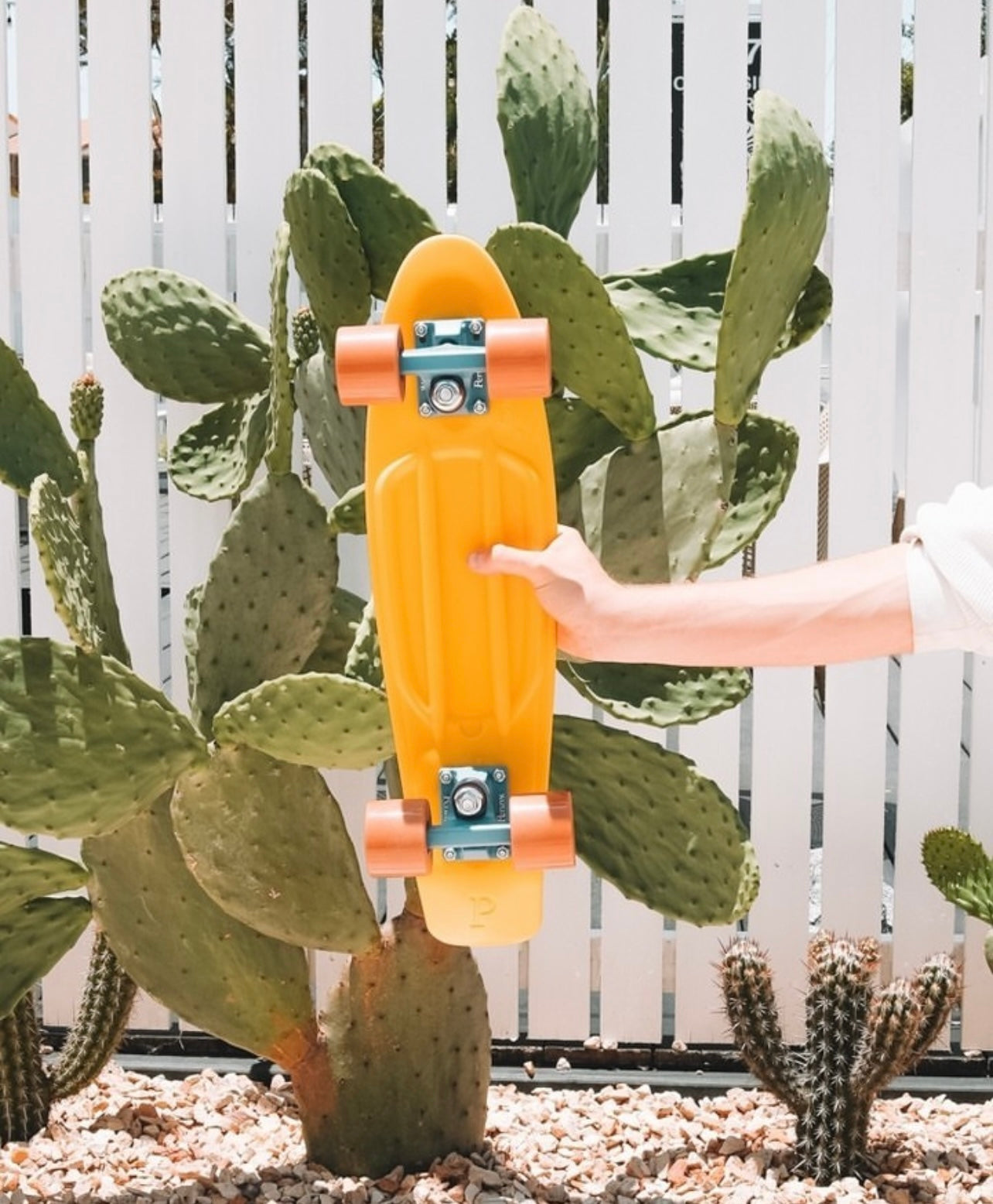 Penny Skateboards