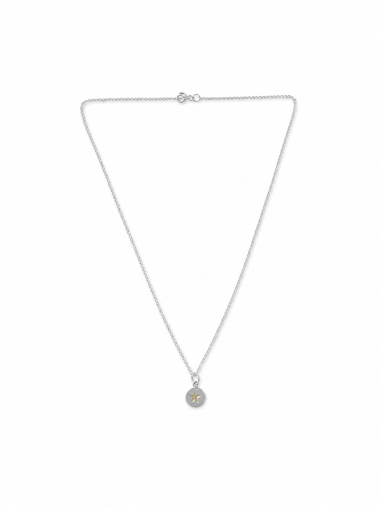 Star Pendent Necklace