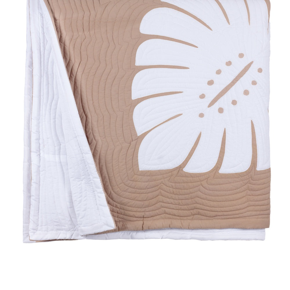 womens, mens, surf, snow, skate, accessories  - The Boardstore Lab 